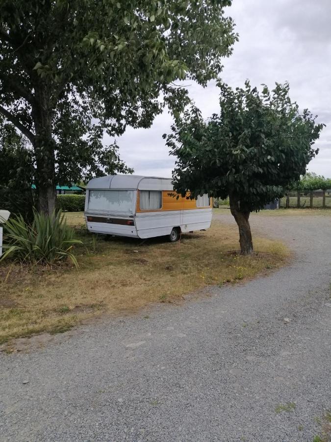 Rangiora Eco Holiday Park Fernside Exterior foto